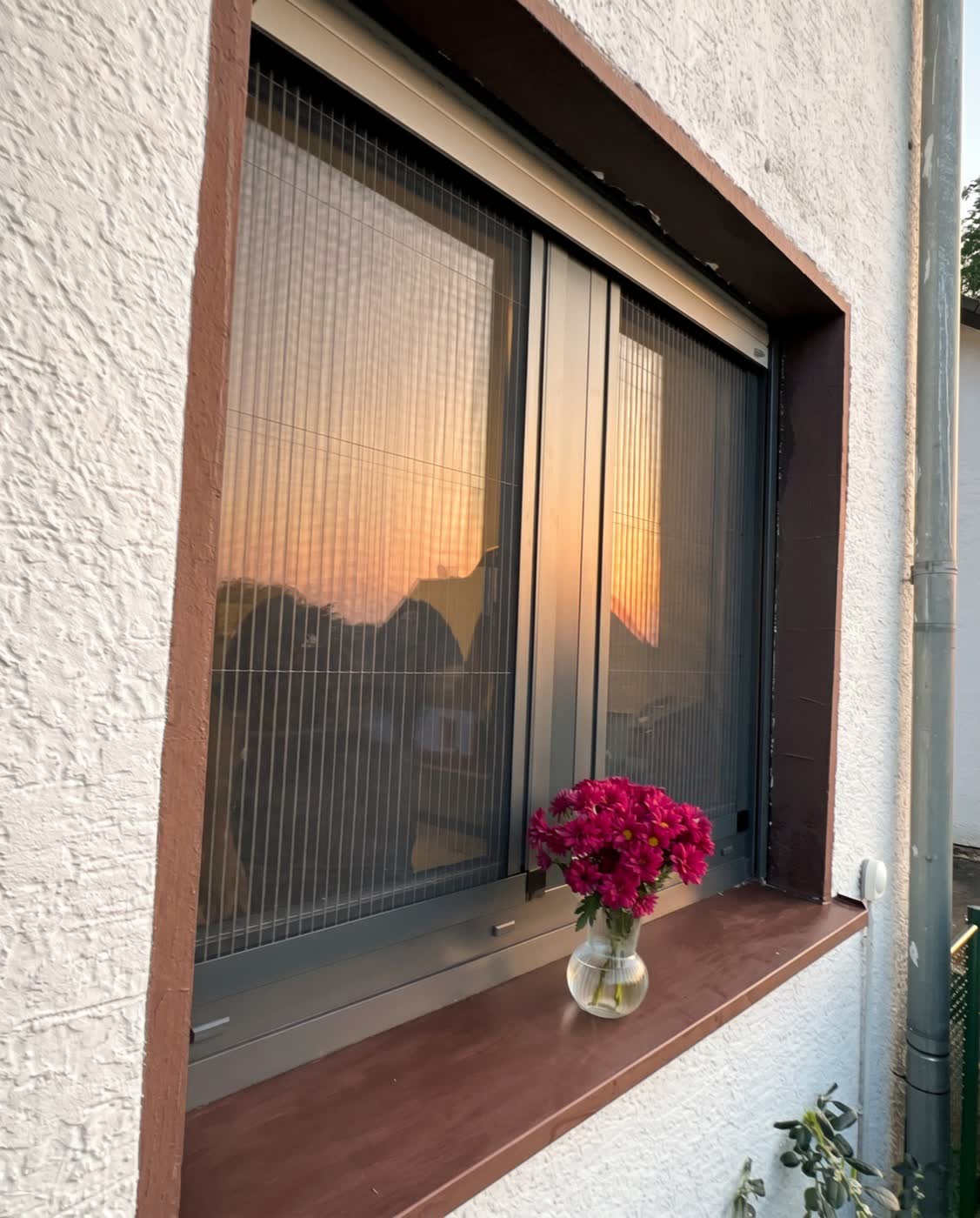 Fenster-Fliegengitter — Sonnenuntergang